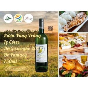 Winey Ecoz - Tham Gia Lễ Hội Tao Đàn Chiêu Anh Các Hà Tiên