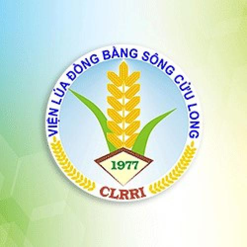 Viện Lúa Đồng Bằng Sông Cửu Long