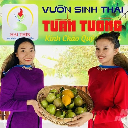 Hấp Dẫn Vườn Du Lịch Sinh Thái Nông Nghiệp Tuấn Tường