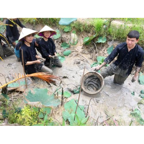 Vườn du lịch sinh thái quanh năm cho trái ngon