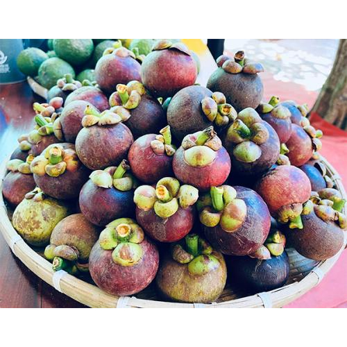 Măng Cụt Miền Tây – Hương Vị Miệt Vườn