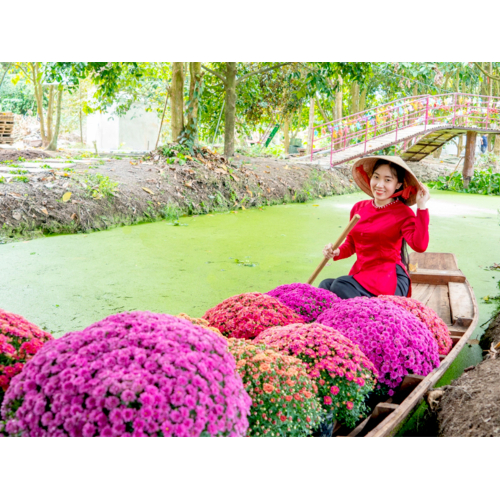 Chèo xuồng ba lá – Trải nghiệm đậm chất miền Tây