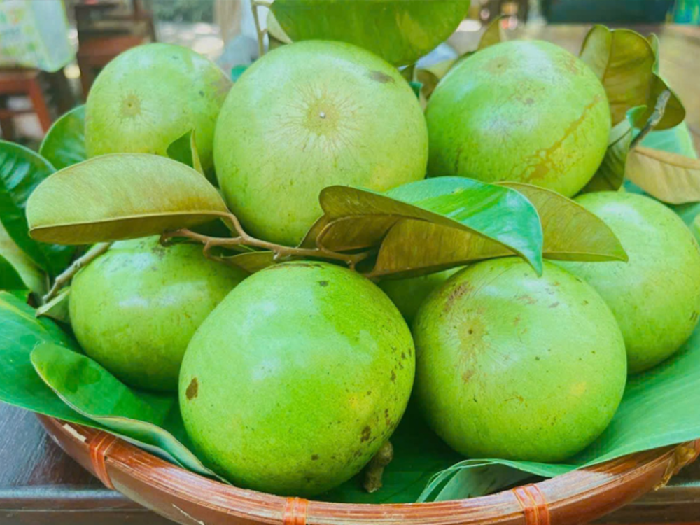 Vú sữa lò rèn