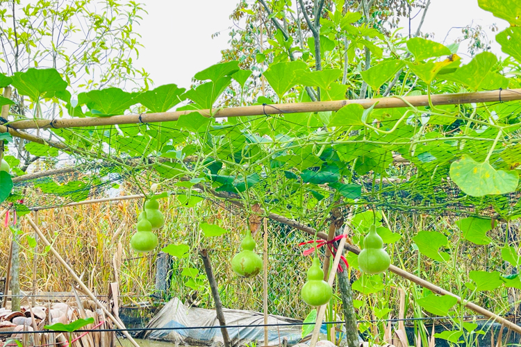 Chữa lành có tác dụng gì?