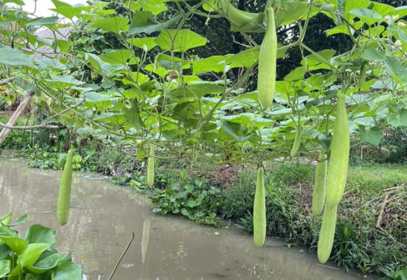 Không gian thiên nhiên của Tuấn Tường