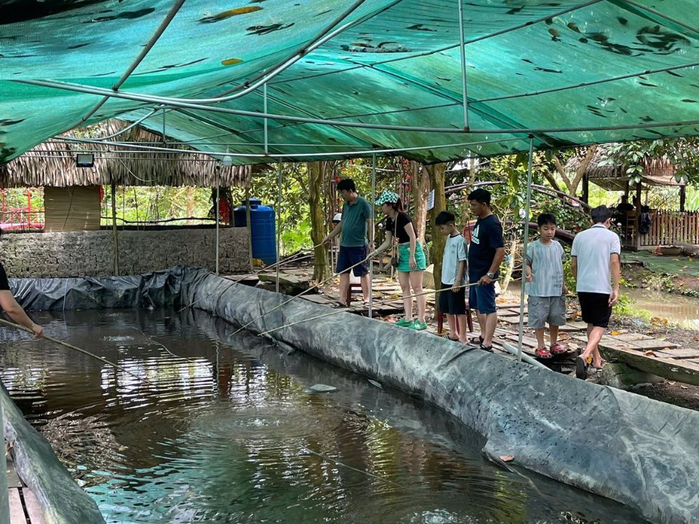 Thư giãn giữa không gian thiên nhiên xanh mát