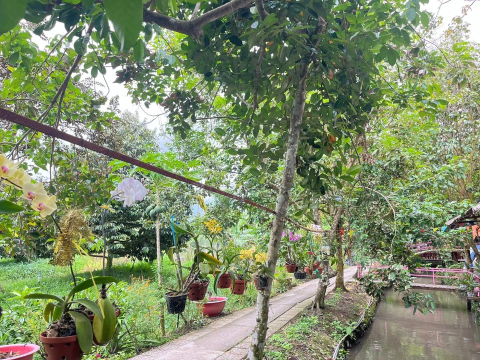 Buổi sáng: Thức dậy giữa thiên nhiên thuần khiết