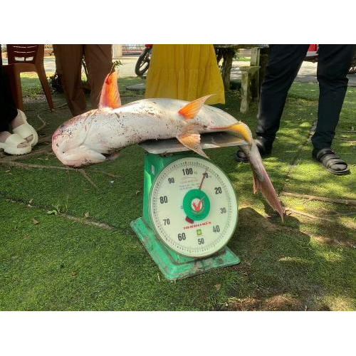 Cuối Tuần Phú Điền Có Gì Vui?