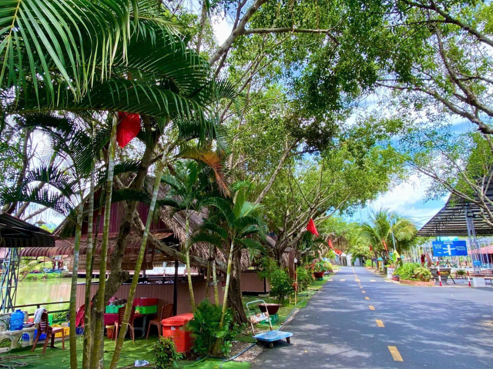 Hành trình tìm về hương vị quê nhà
