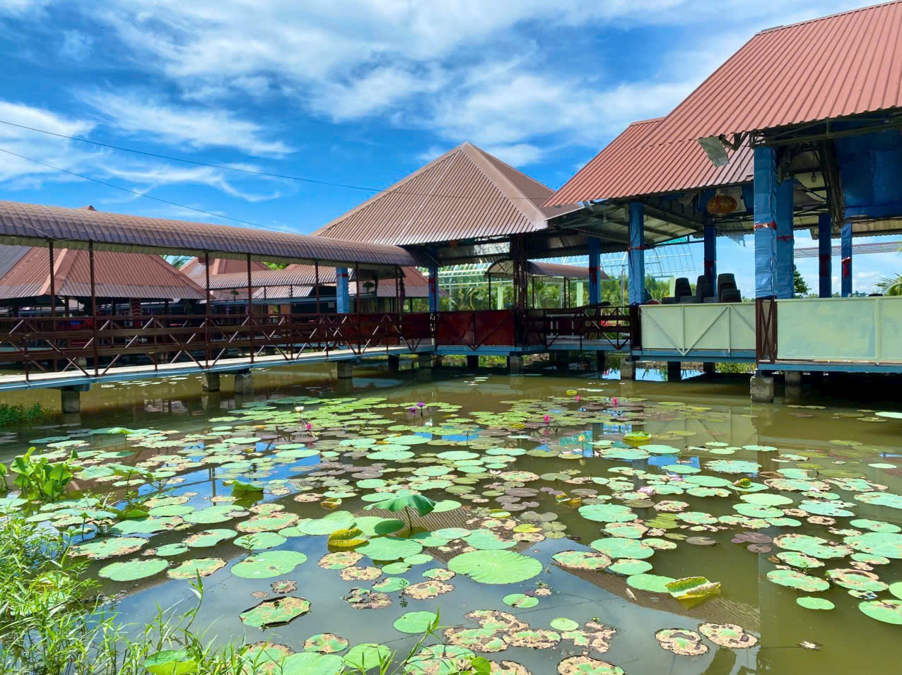 Không gian hồ câu xanh mát – Nơi tìm về sự tĩnh lặng