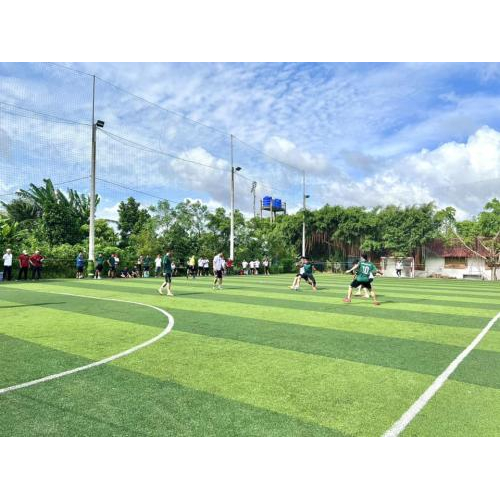 Thiên nhiên dẫn lối trải nghiệm