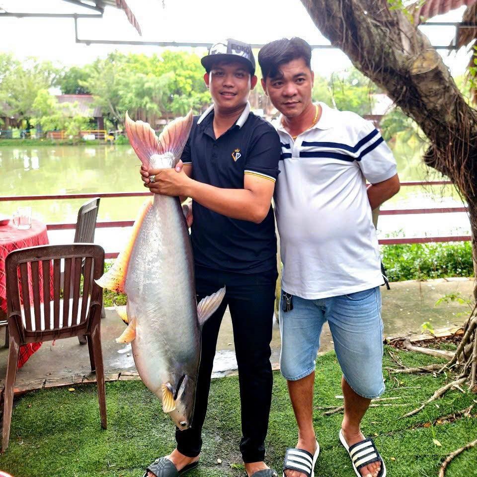 Câu Cá Tại Phú Điền, Hoạt Động Giải Trí Đáng Trải Nghiệm Nơi Thiên Nhiên Xanh Mát