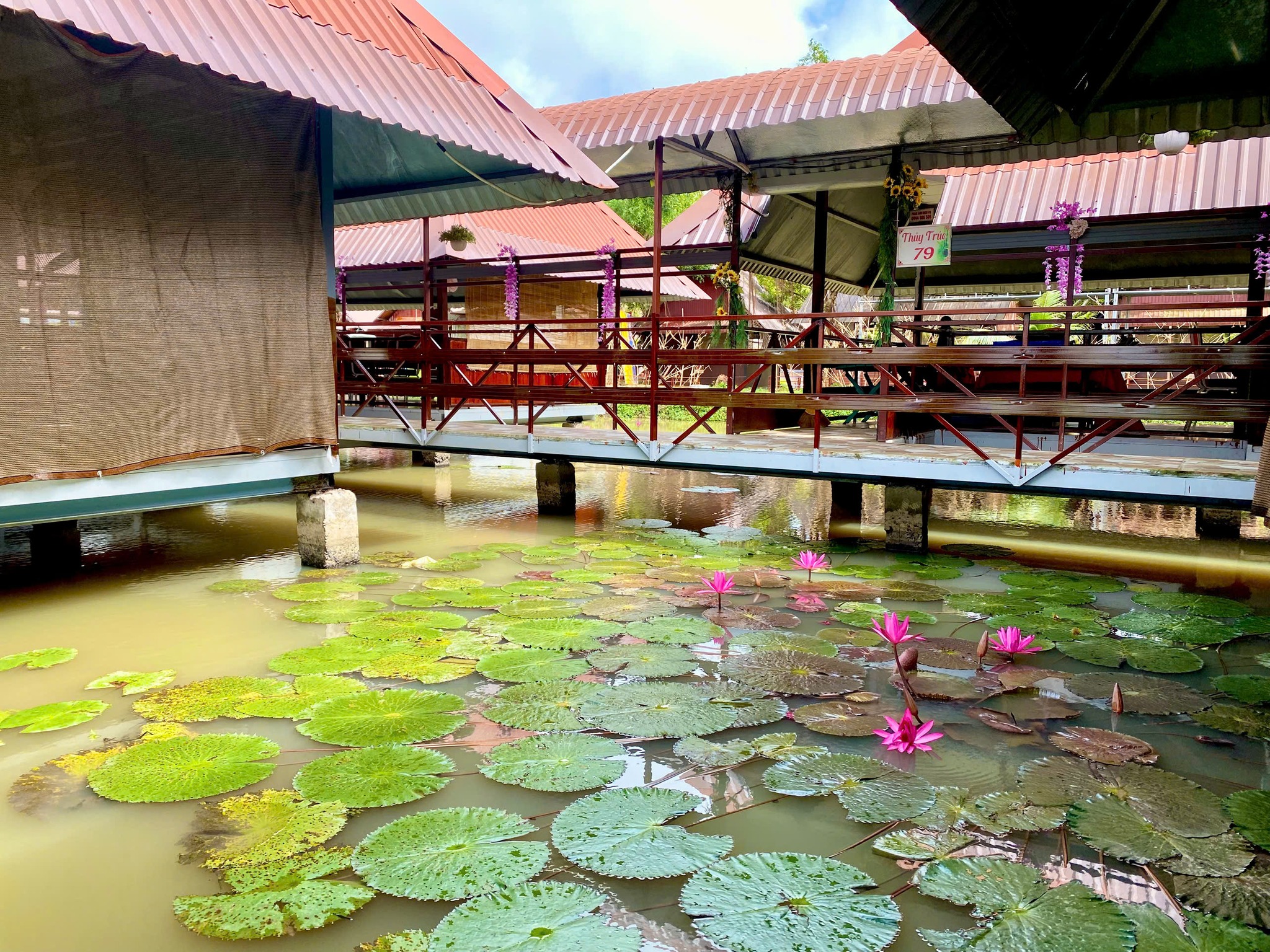 Những trải nghiệm đặc trưng của du lịch xanh