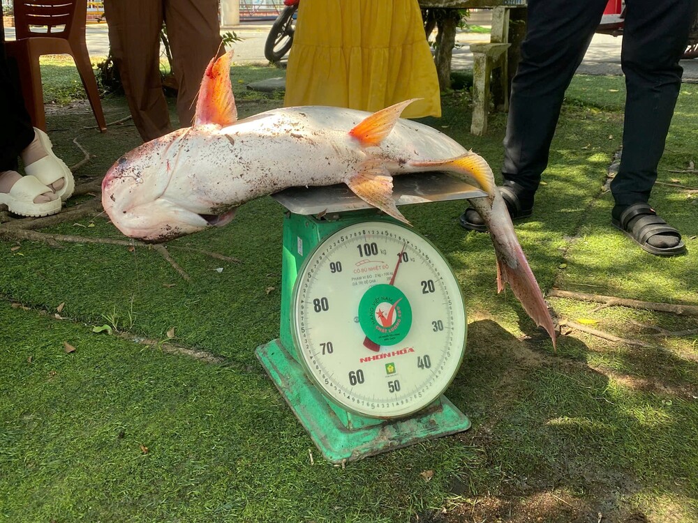 Gắn kết bạn bè và gia đình