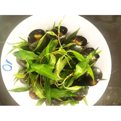 Hương vị thơm ngon, kích thích vị giác