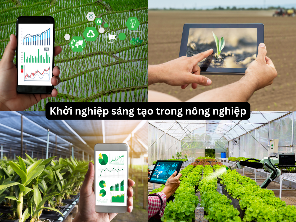 3. Khởi nghiệp sáng tạo trong nông nghiệp