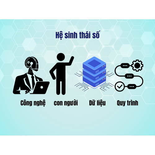 1. Hệ sinh thái số là gì trong Apluz?