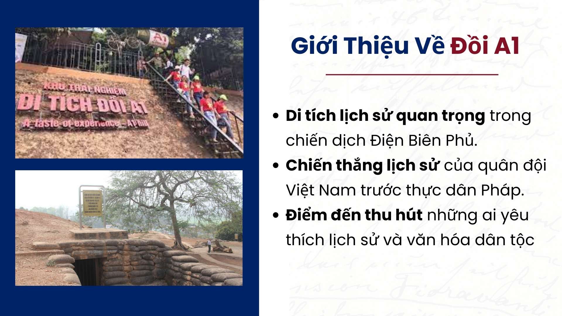 Giới thiệu về Đồi A1