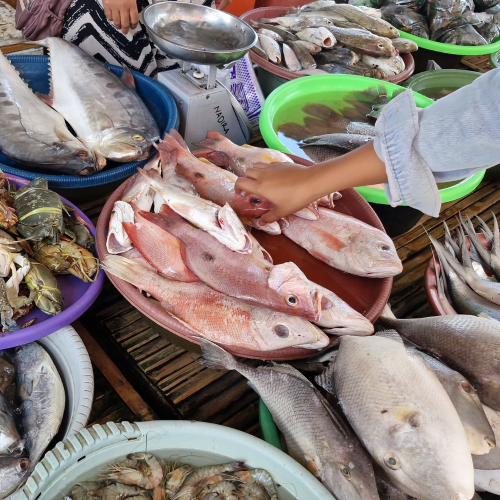 Làm Thế Nào Để Chọn Được Cá Tươi?