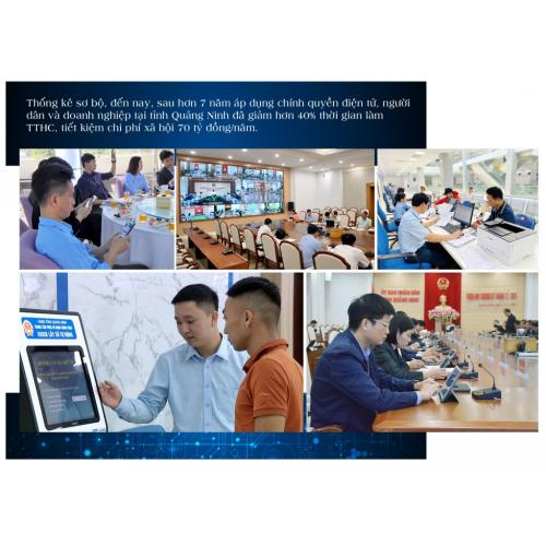 Các loại cá trong hồ