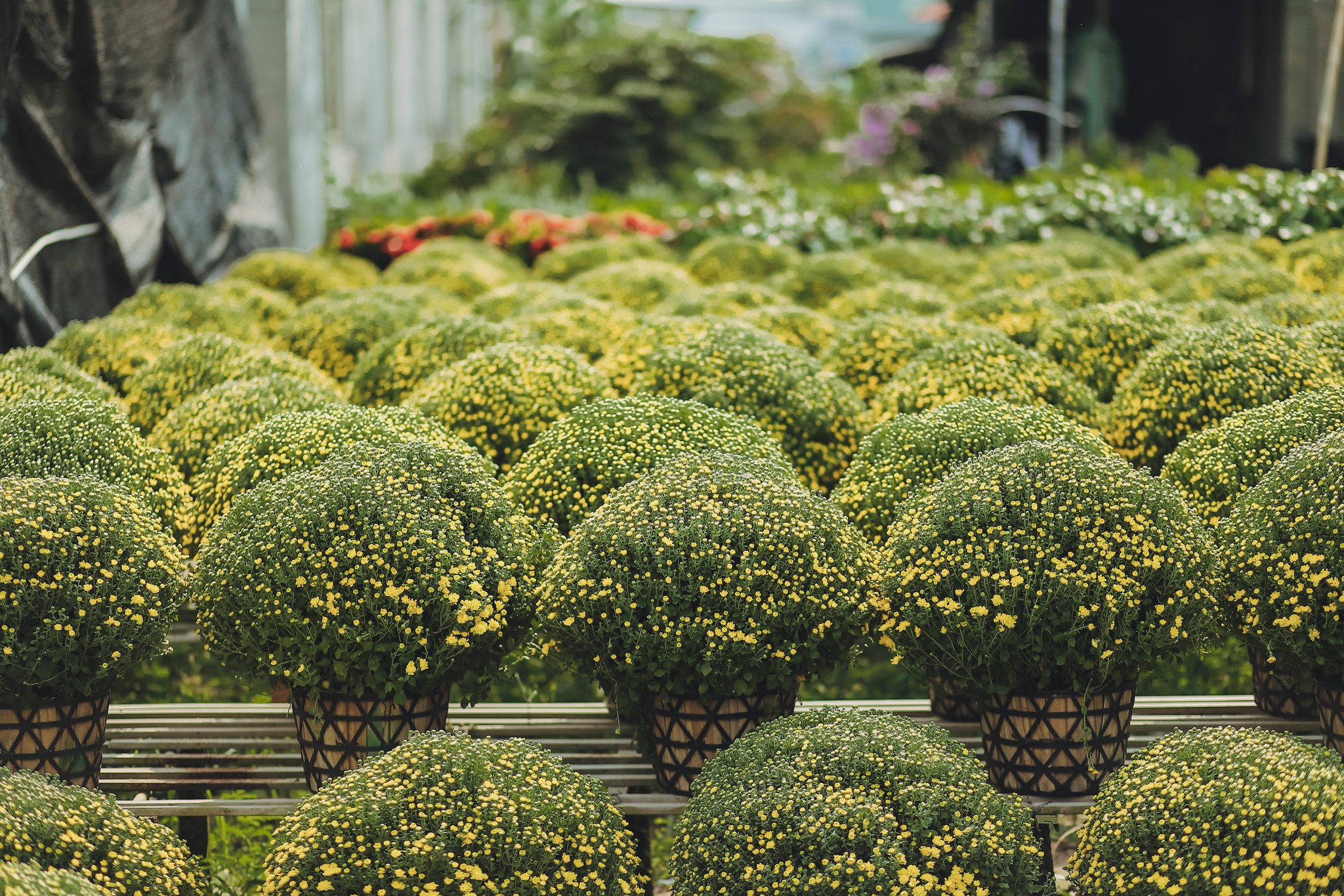 6. Gợi ý lịch trình 1 ngày