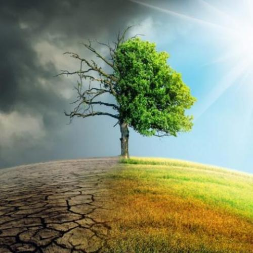 Tệp Khách Hàng SỐNG Và CHẾT