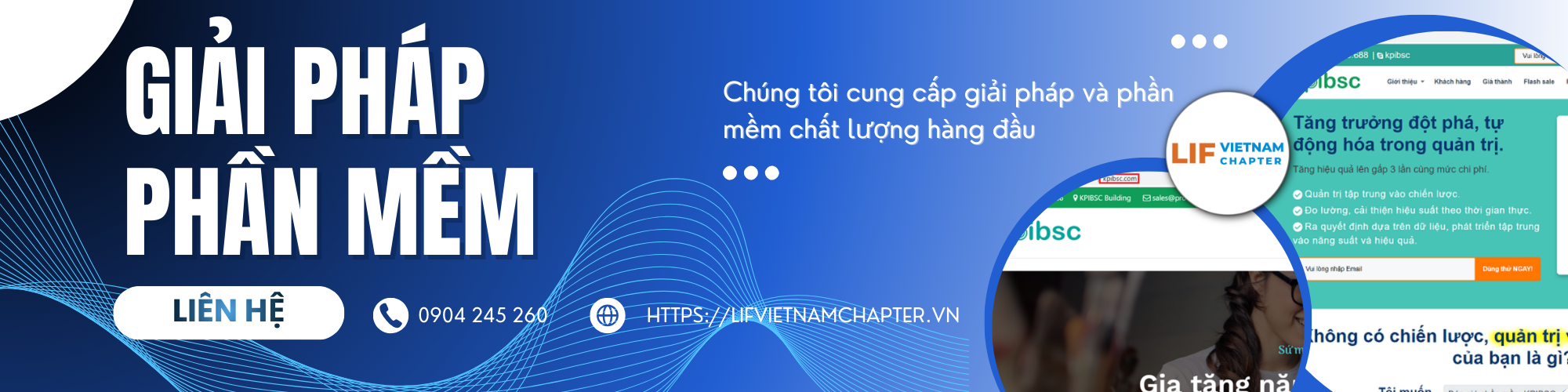 Giải pháp, phần mềm