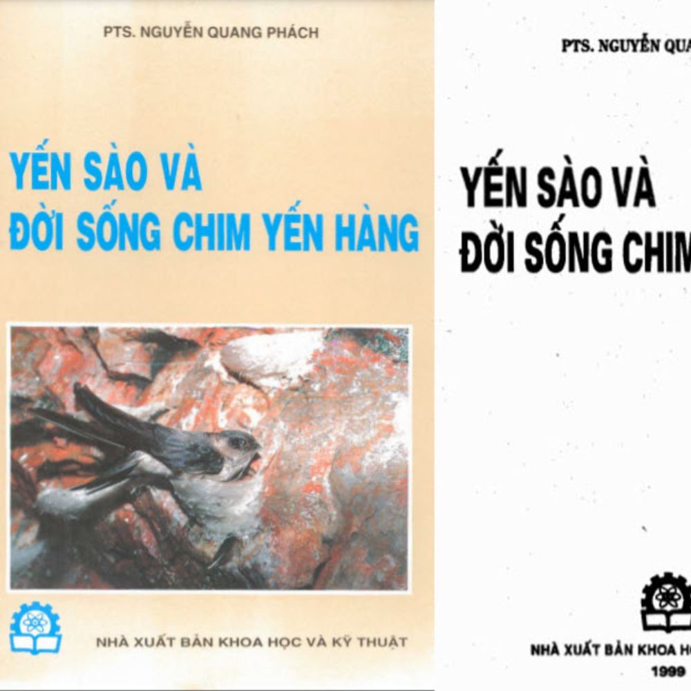 Yến Sào Và Đời Sống Chim Yến