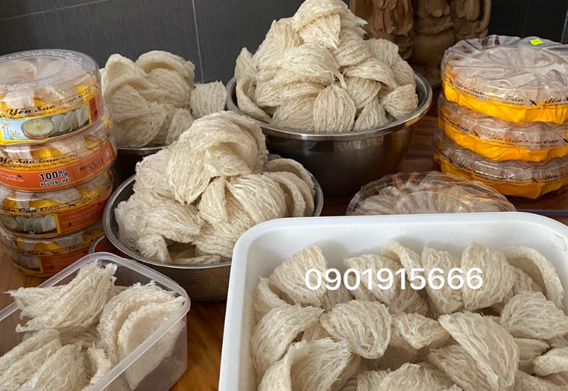 Tác động đến sức khỏe và sinh sản của chim yến