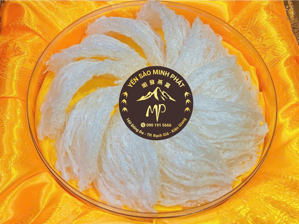 Bồi bổ – Hỗ trợ phục hồi & nâng cao đề kháng