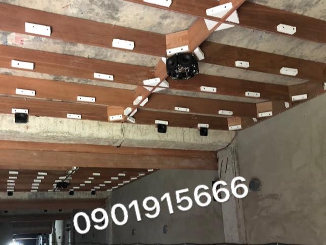 Âm thanh – Ngôn ngữ gắn kết của loài yến