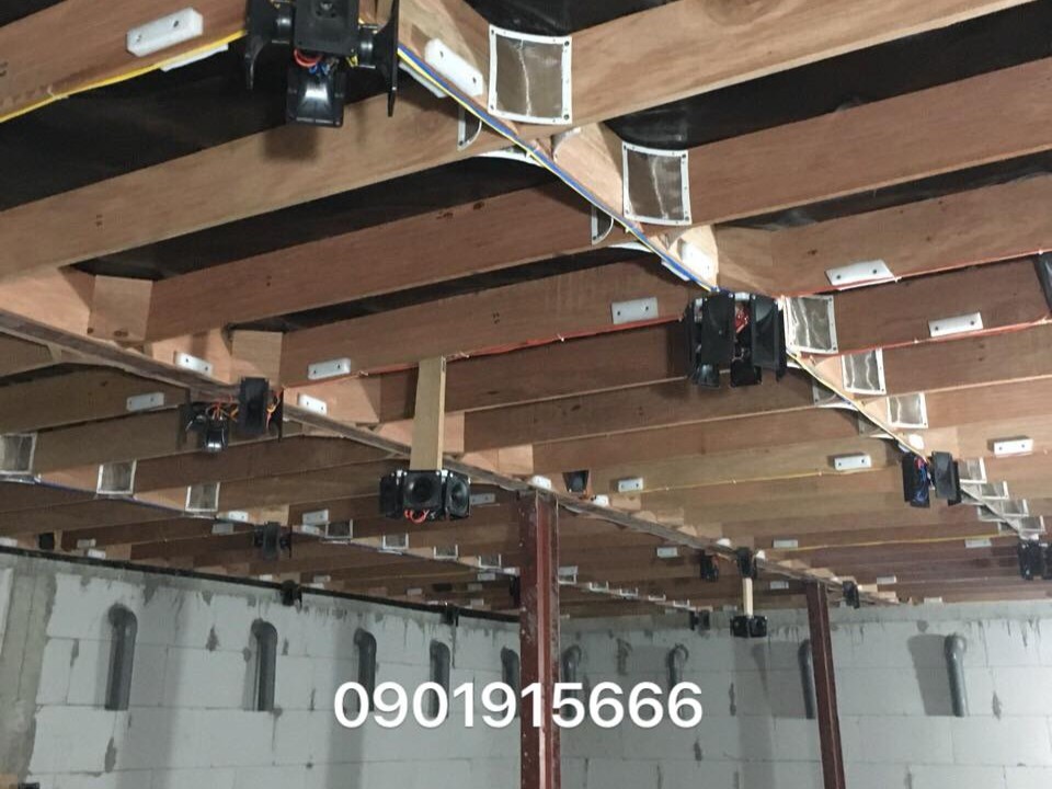 Vì sao gỗ trong nhà yến dễ bị nấm mốc?