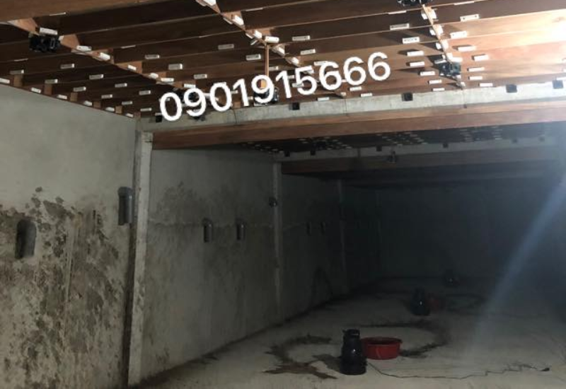 Làm gì để ngăn nấm mốc, giữ đàn yến ổn định?