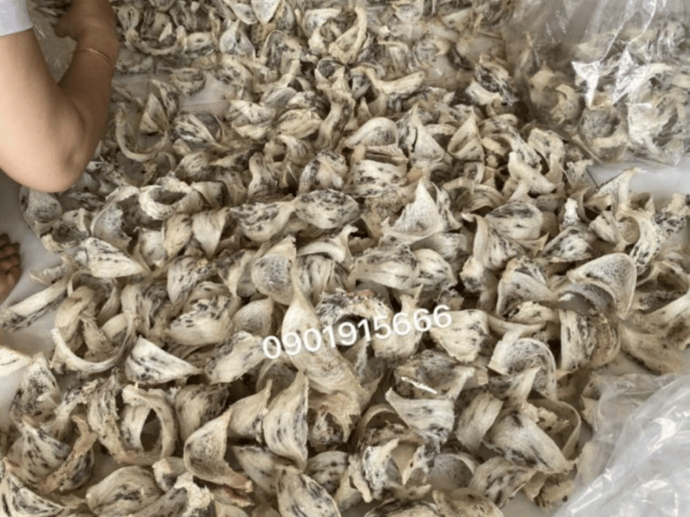 Giới thiệu chi tiết