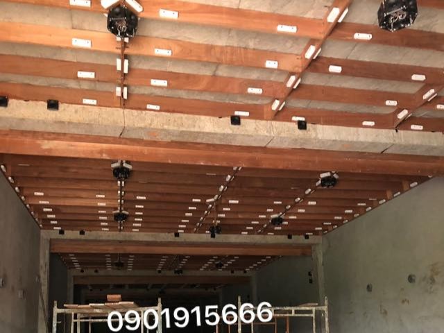 Cơ chế thu hút chim yến bằng loa dẫn dụ