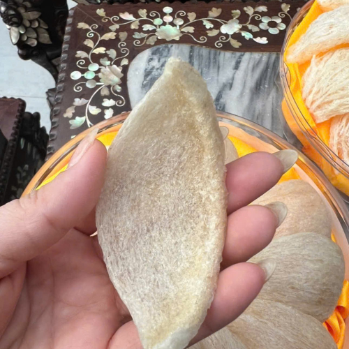 Tổ Yến Định Hình A5 - Hộp 100gr