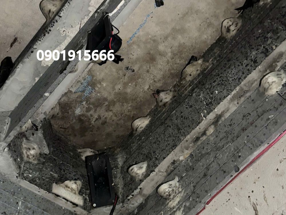 Lợi ích khi dùng dung dịch giấm Ichi: môi trường sạch – Chim yến ổn định