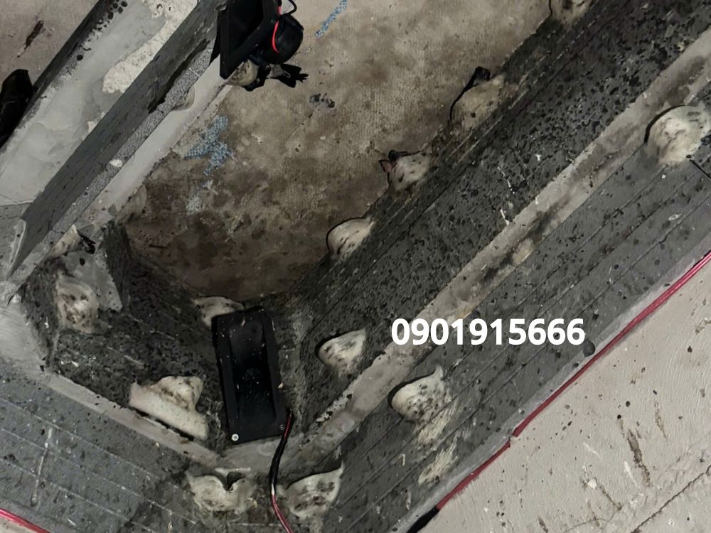 1. Thành phần và cơ chế hoạt động của dung dịch trị mốc gỗ Tanali