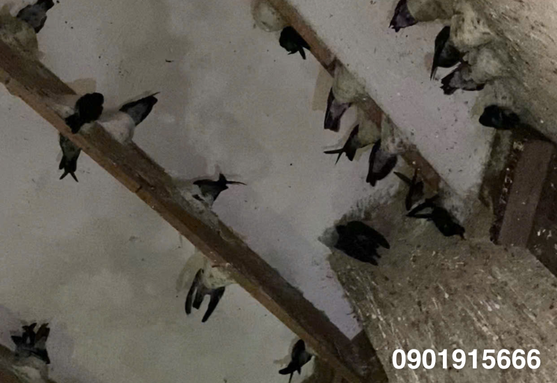 Quy cách đóng thanh gỗ