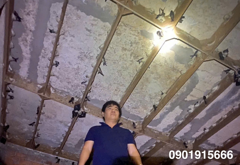 Bố trí không gian bên trong