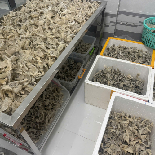 Hướng Dẫn Bảo Quản Tổ Yến Tinh Chế Đúng Cách Để Giữ Trọn Dinh Dưỡng