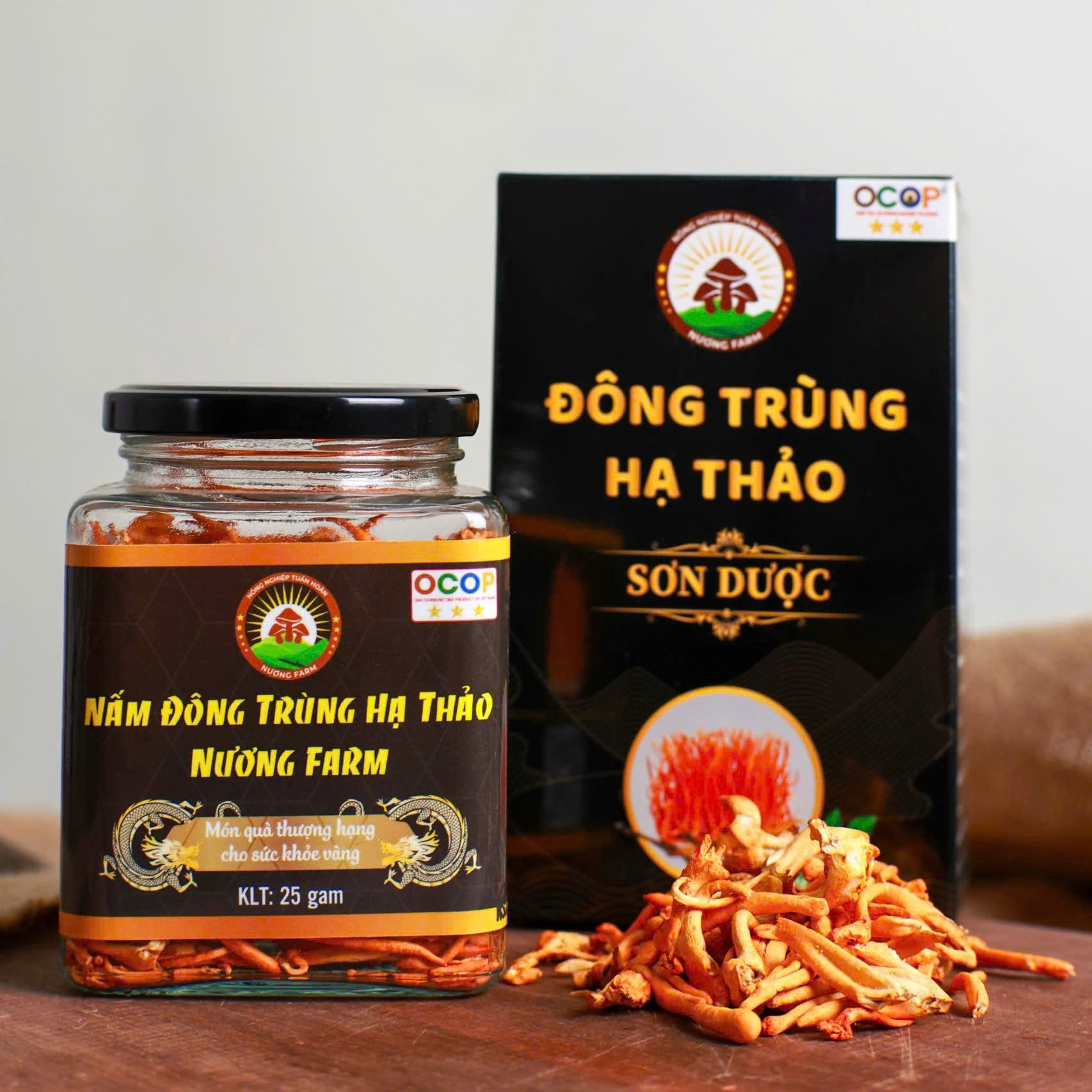 Đông Trùng Hạ Thảo: Sự Thật Về Nguồn Gốc, Hoạt Chất & Lợi Ích Cho Sức Khỏe