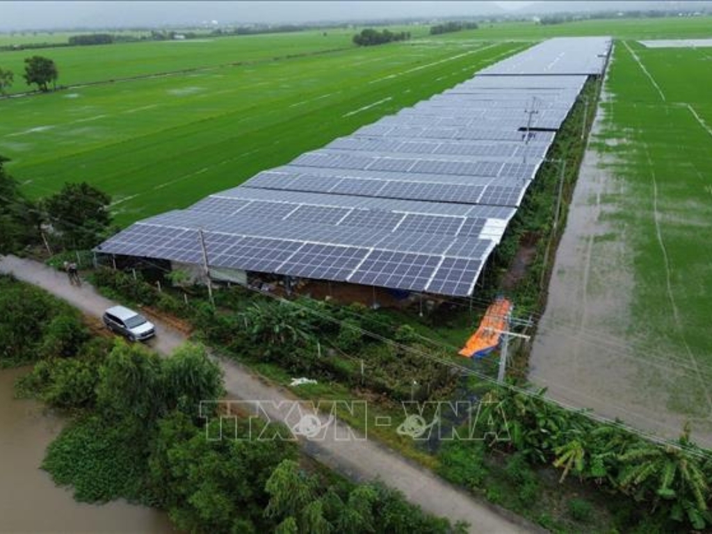 Sử dụng năng lượng tái tạo