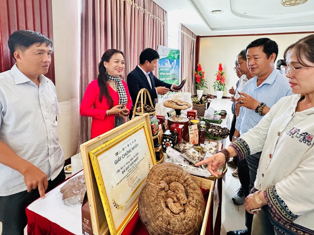 Không ngừng chuyển đổi để phát triển, cho thu nhập bền vững hơn