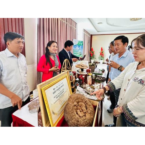 Từ Mô Hình Trồng Nấm Dược Liệu, Chị Nông Dân An Giang Giúp Hàng Chục Hộ Nghèo Đổi Đời