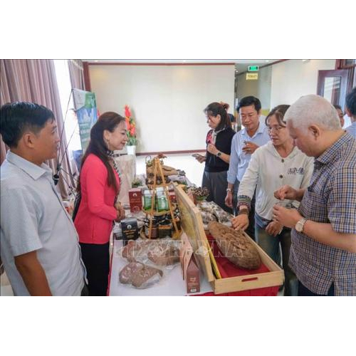 Nữ Doanh Nhân An Giang Và Giấc Mơ "Net Zero" Từ Trang Trại Trồng Nấm