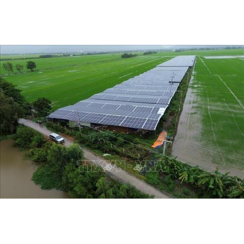 Nữ Doanh Nhân An Giang Và Giấc Mơ "Net Zero" Từ Trang Trại Trồng Nấm