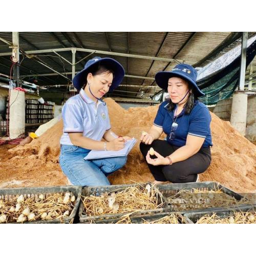 Chị Châu Thị Nương: Lọt Danh Sách "Nông Dân Việt Nam Xuất Sắc 2025"