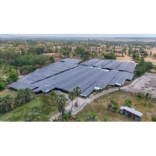 Nữ Doanh Nhân An Giang Và Giấc Mơ "Net Zero" Từ Trang Trại Trồng Nấm