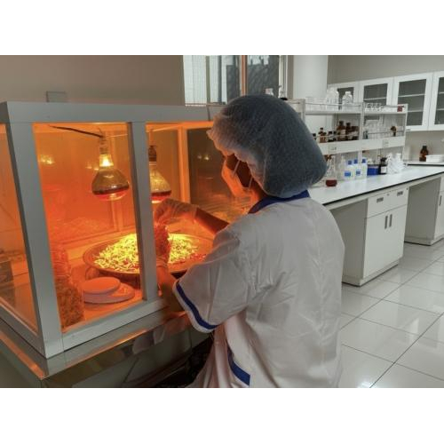 2. Vì Sao Sấy Thăng Hoa Giữ Dinh Dưỡng Tốt Hơn?